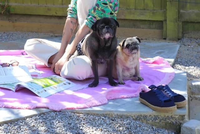 The Italian designer is offering illustrations of her pugs, Maya and Edgar, to raise money for Raystede Centre for Animal Welfare in Ringmer.