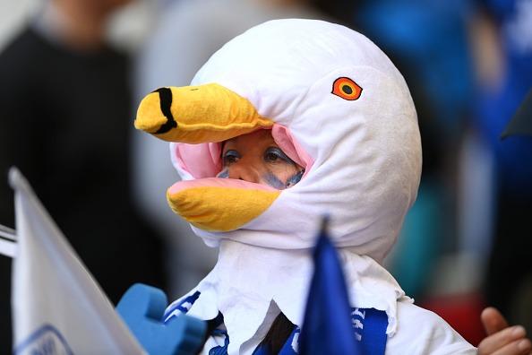 Seagulls at Wembley