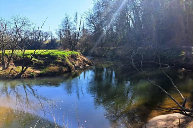 River Rother in South Downs National Park by Jeff Travis