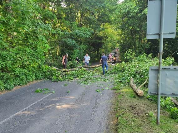 Quick work and 'community spirit' helped to clear the tree off the roadway