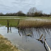 West Sussex arable farmer Keith Langmead had a large acreage flooded. Picture contributed