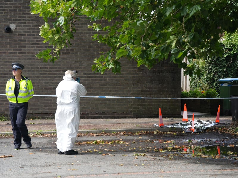 SUSSEX NEWS AND PICTURES - news@sussexnewsandpictures.uk - 012 73 93 02 02
Police have shot and killed two dogs after an elderly man was attacked in the street.