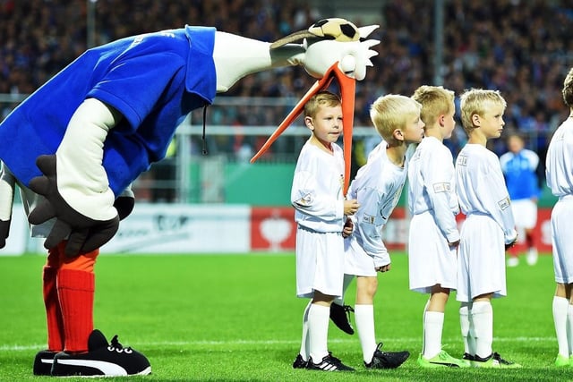 Stolle, the mascot for the German Bundesliga 2 side, Holstein Kiel F.C. certainly leaves an impression. It’s hard not to find this six-foot stork utterly hilarious - especially with Stolle’s habit of pretending to gobble fans up