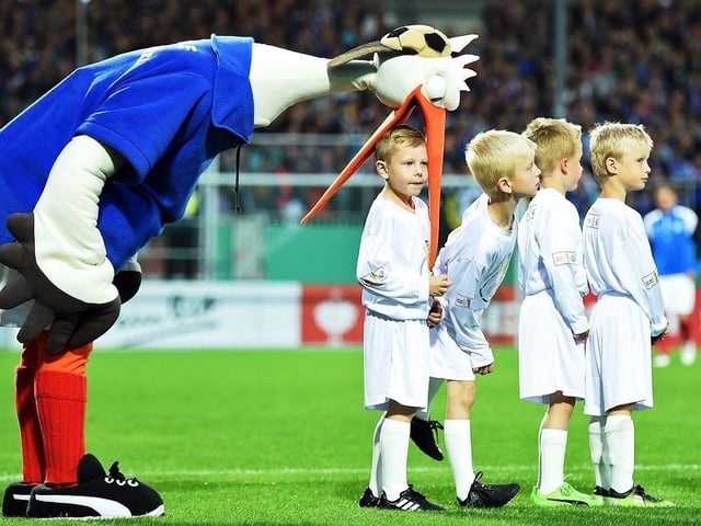 Stolle, the mascot for the German Bundesliga 2 side, Holstein Kiel F.C. certainly leaves an impression. It’s hard not to find this six-foot stork utterly hilarious - especially with Stolle’s habit of pretending to gobble fans up