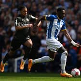 BRIGHTON, ENGLAND - MAY 21: Danny Welbeck of Brighton & Hove Albion is challenged by Kamari Doyle of Southampton during the Premier League match between Brighton & Hove Albion and Southampton FC at American Express Community Stadium on May 21, 2023 in Brighton, England. (Photo by Mike Hewitt/Getty Images)