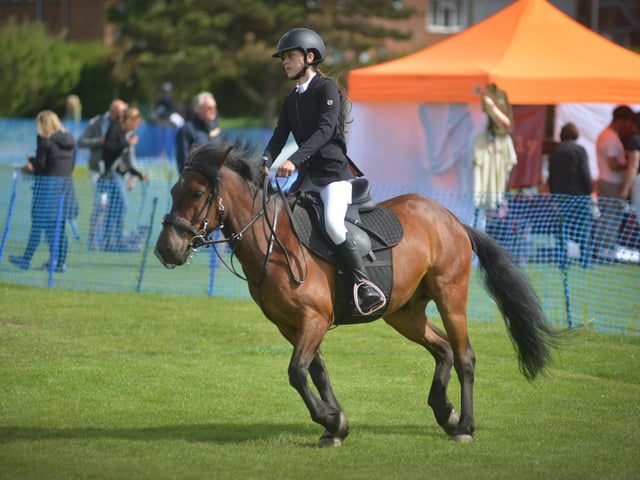 Bexhill Horse & Dog Show 2024.