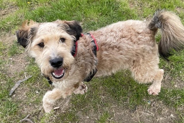 Elsie has transformed into a  ‘cheeky, bouncy, happy girl’.