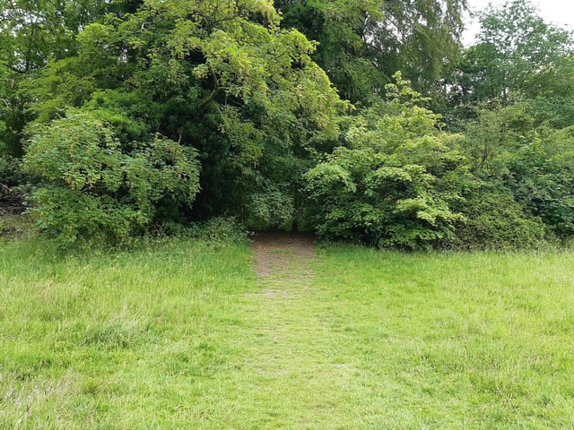 We are aiming for Chalk Hill Car Park, essentially north west. There are various ways of getting to it. In the spirit of the Way, and trying to follow its correct path, I headed straight across the grass to follow a path going up through the trees.