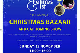 Cat Homing Show and Christmas Bazaar