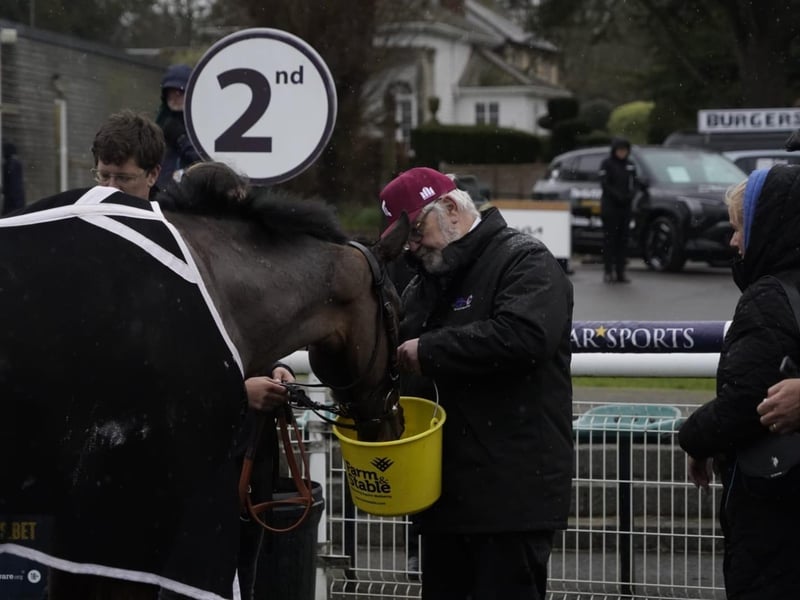National Spirit Hurdle race day 2025 at Fontwell Park