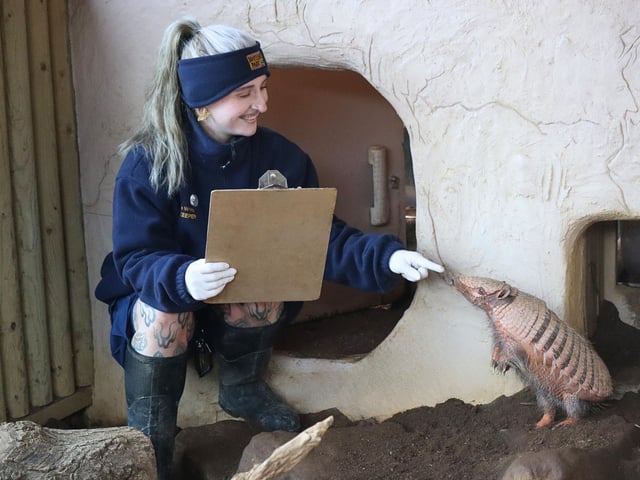Drusillas Park conduct their annual stocktake