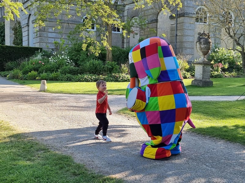 Elmer's Art Parade at Petworth runs until September 3