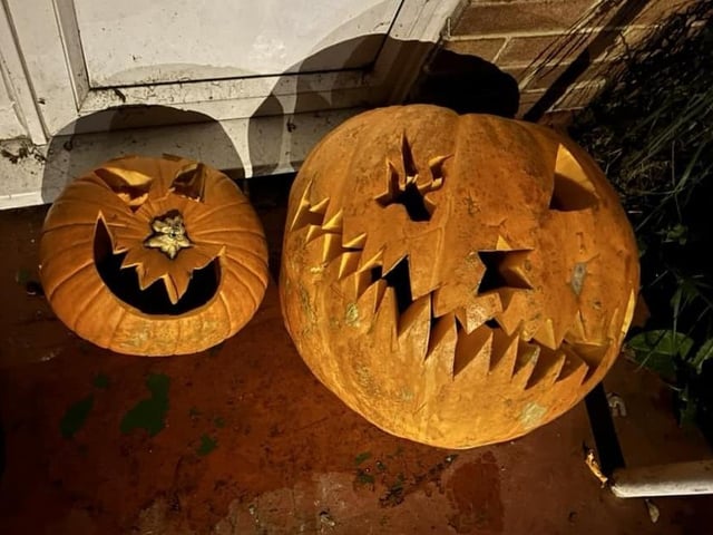 Pumpkin picture provided by Karla De-ville