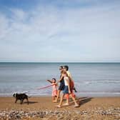 A place in Sussex has been named one of the most dog-friendly cities in Britain. (Photo by CHARLY TRIBALLEAU/AFP via Getty Images) SUS-220330-130538001