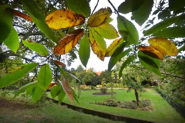Alexandra Park in Hastings pictured in autumn, 27/10/21