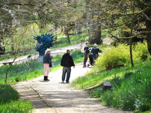 Treat your dad to a day out at Leonardslee Gardens and enjoy Ferraris on display and model boats on the lake. You can also take a look around the gardens, pay a visit to the wallabies and end the day with dinner at the Michelin Star Restaurant Interlude.