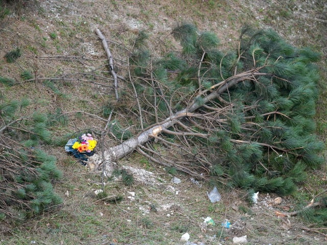 Sussex Police said part of the A27 was closed for several hours on Tuesday, January 9, after a man died in a crash between Falmer and Lewes
