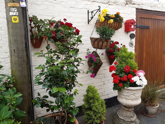 Floral splendour at Brunswick Cottages, a tiny courtyard of four fishermen's houses off the twitten that marks the historic boundary between Worthing and Heene