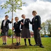 Students from Great Walstead School with the tree they planted