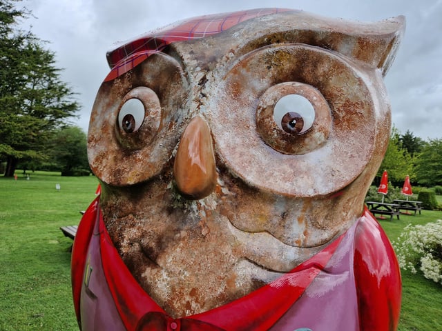 Colourful owls have flown into Arundel as part of the Wild in Art event The Big Hoot trail, raising money for Chestnut Tree House.