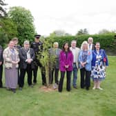 Coronation Tree Planting