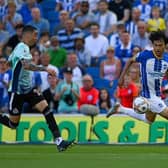 Brighton's Japan international Kaoru Mitoma could be in line to start at Forest Green in the Carabao Cup tomorrow night