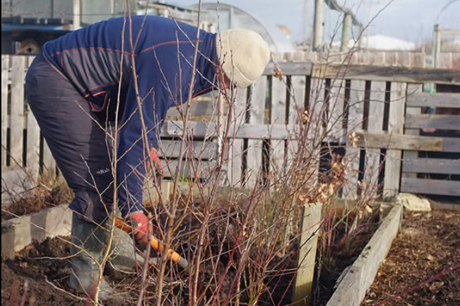 Eastbourne charity looking for volunteers to join tree-planting project