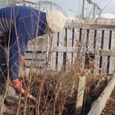 Eastbourne Borough Council looking for volunteers for new tree planting project.