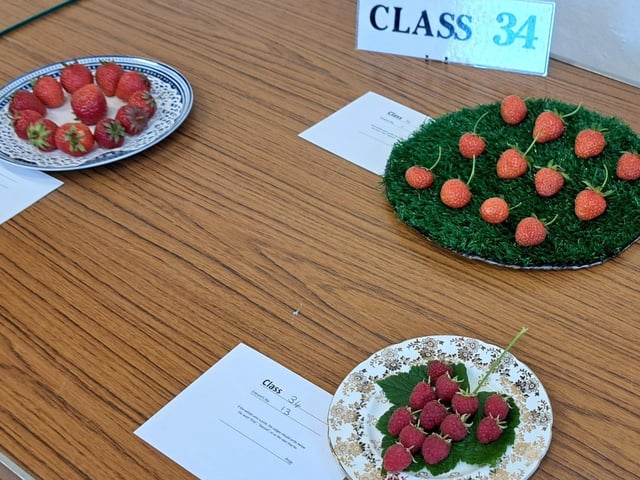 Soft fruit other than gooseberries, plate of 12