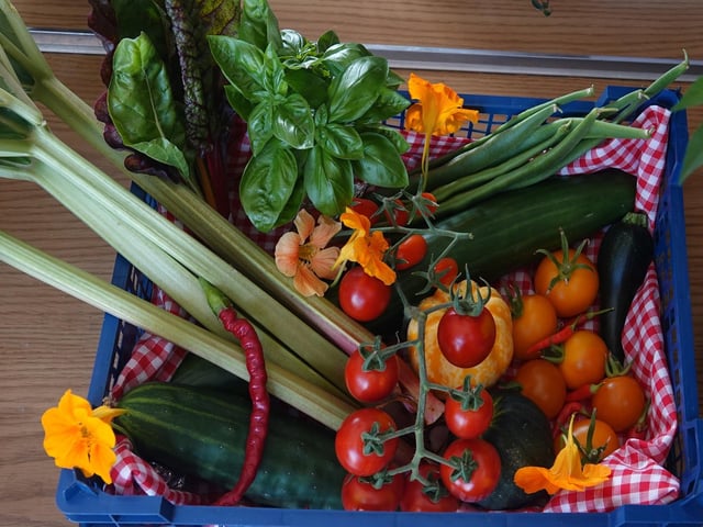 One of the entries for the basket of mixed produce