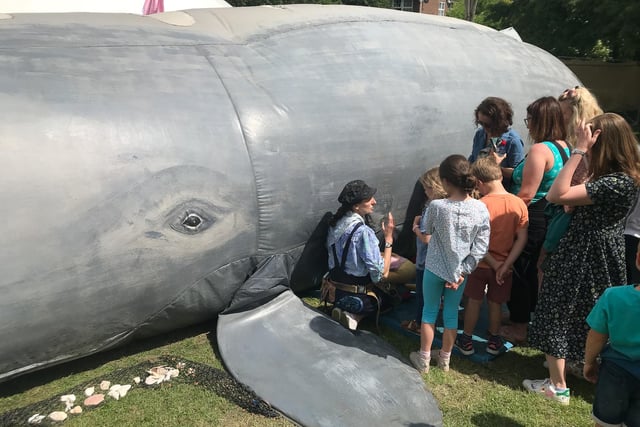 Brave adventurers entering the full-sized inflatable whale