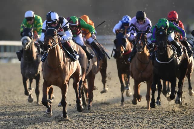 Action at Lingfield Park (Photo by Mike Hewitt/Getty Images)