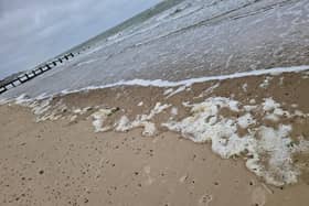 ‘Foam’ seen in the sea at Littlehampton is the ‘by-product of natural processes', the harbour board has said.