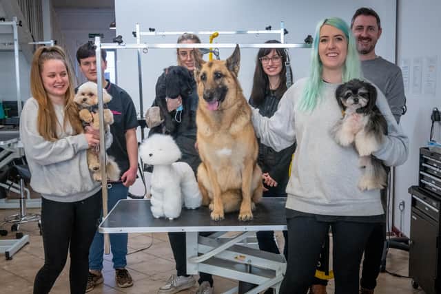 The team from Brighton-based Bone Idol dog groomers