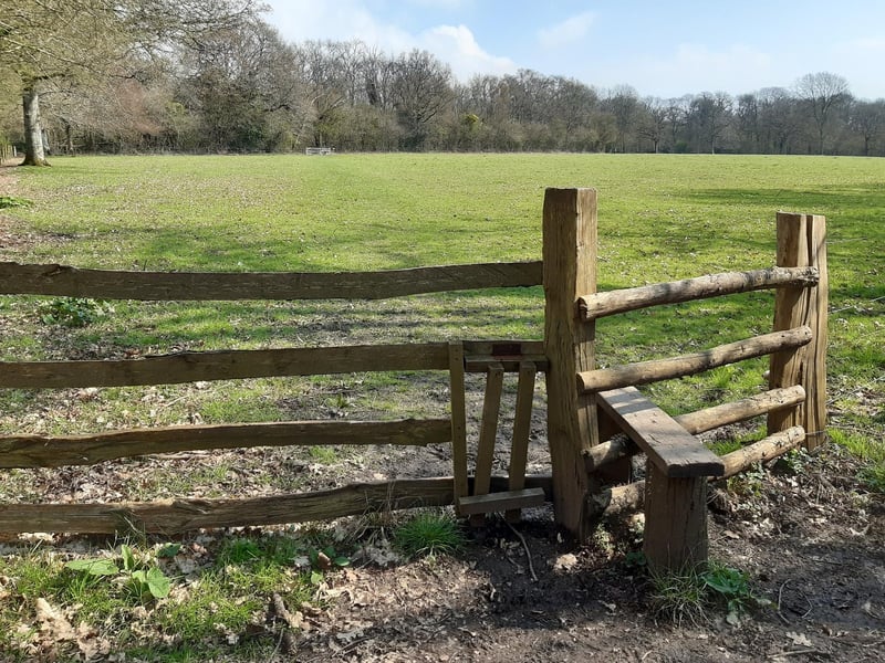 I chose to go over the stile and cross the field to the other side but a clear pathway has been made around the field so there is no need to use the stiles.