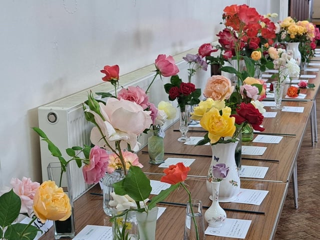 Novelty classes, including figures crafted from fruit and vegetables, sat alongside the spectacle of flowers at East Preston & Kingston Horticultural Society's annual rose show