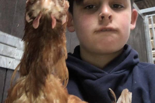 Archie from Archie's Little Farm with one of the battery hens he saved
