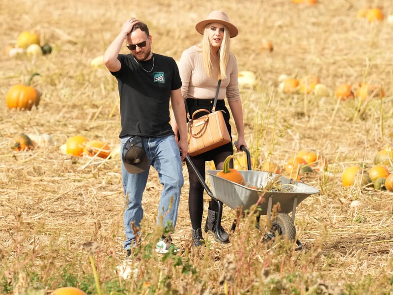 Based at Lychpole Farm just off the A27, family-run picking patch Sompting Pumpkins is open for business again this year. Picture: Eddie Mitchell