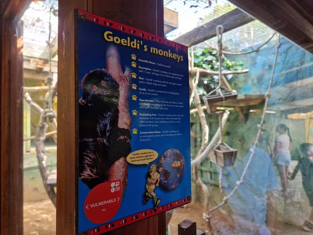 Drusillas offers animals, rides, play areas and more for families from Sussex and beyond
