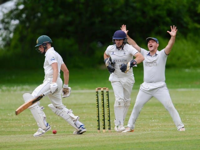 Littlehampton v Chippingdale. Picture by Stephen Goodger