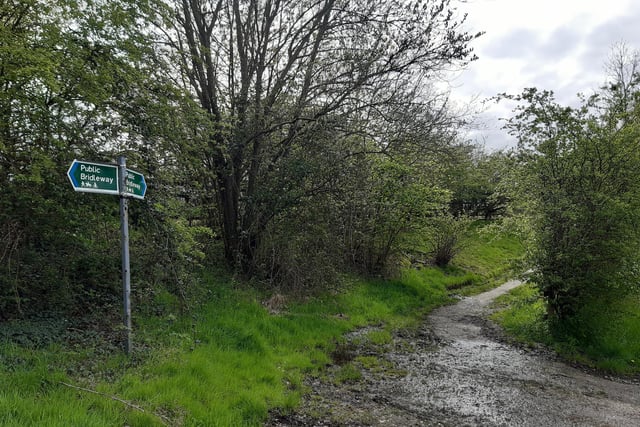 Head down to a green public bridleway sign and take the narrow path