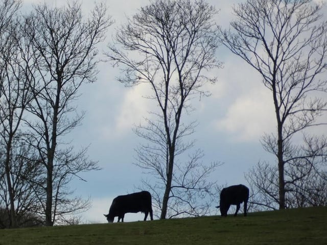 Near Alfriston