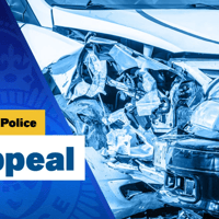 Eastbourne Police appeal after collision 'involving a pedestrian'
