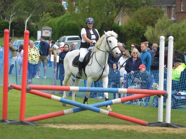 Bexhill Horse & Dog Show 2024.