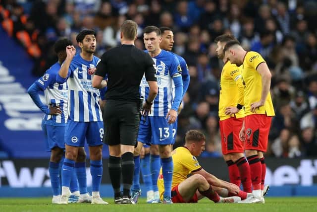 Mahmoud Dahoud of Brighton & Hove Albion