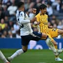 Kaoru Mitoma’s stunning volley brought Brighton and Hove Albion level at the Tottenham Hotspur Stadium. Photo: BEN STANSALL / AFP via Getty Images