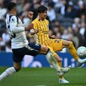 Kaoru Mitoma’s stunning volley brought Brighton and Hove Albion level at the Tottenham Hotspur Stadium. Photo: BEN STANSALL / AFP via Getty Images