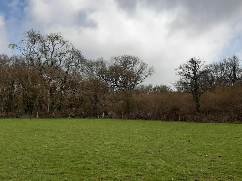 You need to cross the field diagonally to the left to find the next stile.