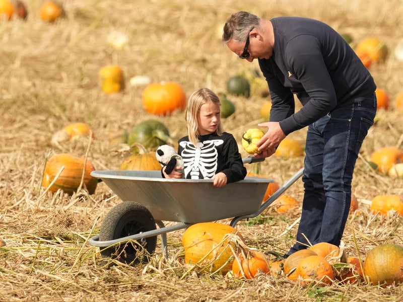 Based at Lychpole Farm just off the A27, family-run picking patch Sompting Pumpkins is open for business again this year. Picture: Eddie Mitchell