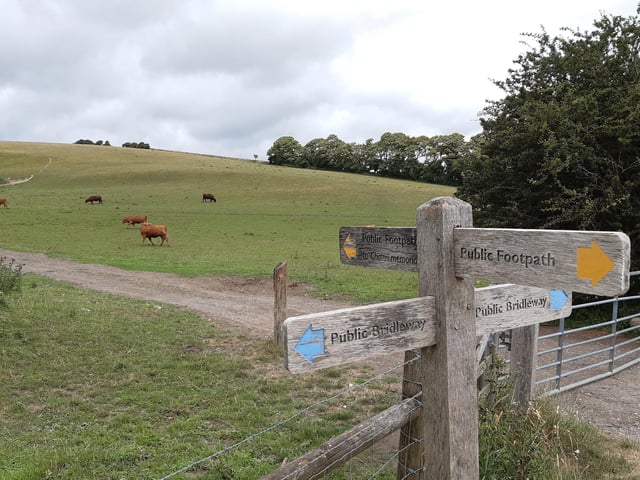 There is a gate out of the field, then you cross the road and go through this gate, where the Chattri Memorial is signposted. Important note, the signpost has been twisted and seems to point to the right but the correct path is to the left of the building.